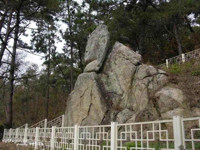 영광 설매리 석조불두상