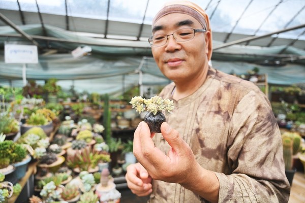 손톱만한 화분 안에서도 용케 멋지게 자란 다육이가 뿌듯한 정오영 회장.