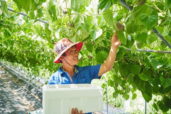 천년지기 열매마 농장 이정희 대표