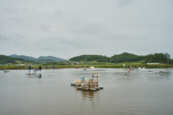 쌍둥이새우양식장 전경