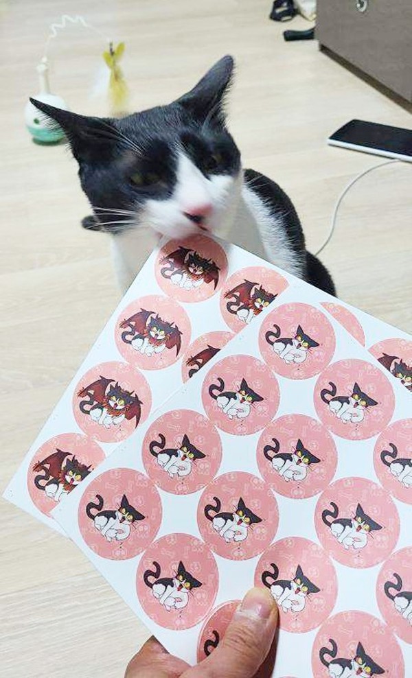 작업 의뢰를 받고 디자인한 반려동물 캐릭터 스티커