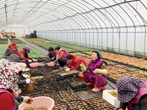 여민동락 행복일자리사업단 작업